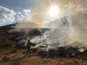 مهار آتش سوزی در روستای ون کاشان 