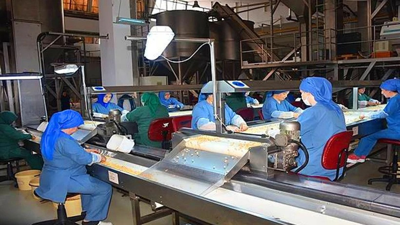 87 Yıllık Efsane Kurum İflas Eşiğinde: Taşınmazlarını Satışa Çıkardı