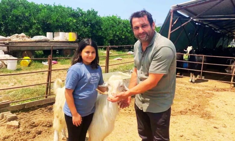 Kurbanlık Olacaktı, Ailesi Kurtardı: “Bulut” Keçi Bayramın En Şanslısı Oldu!